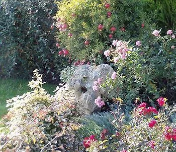 Alla Corte Del Picchio Room & Breakfast Castel Guelfo Di Bologna Bed & Breakfast